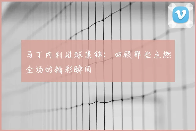 马丁内利进球集锦:回顾那些点燃全场的精彩瞬间
