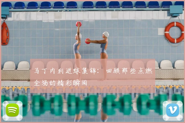 马丁内利进球集锦：回顾那些点燃全场的精彩瞬间